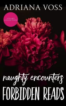 Naughty Encounters Forbidden Reads, Adriana Voss