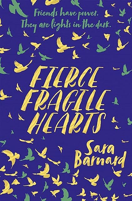 Fierce Fragile Hearts, Sara Barnard
