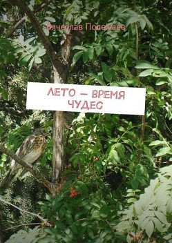 Лето — время чудес, Вячеслав Полежаев