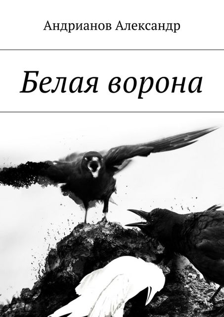 Белая ворона, Александр Андрианов