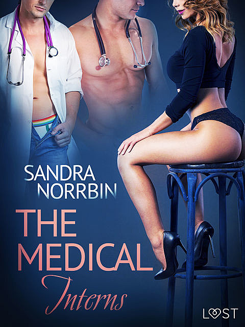 The Medical Interns – erotic short story, Sandra Norrbin