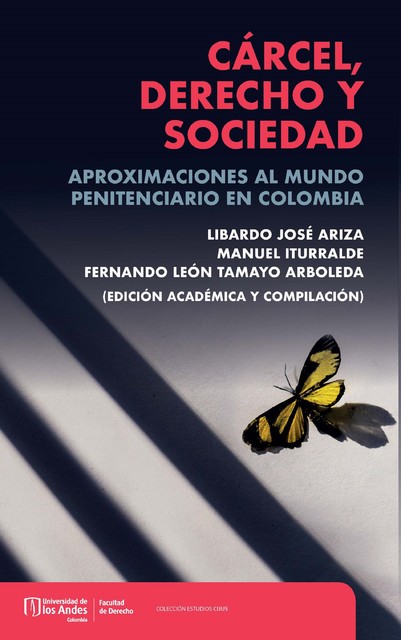 Cárcel, derecho y sociedad, Libardo José Ariza, Manuel Iturralde, Fernando León Tamayo Arboleda
