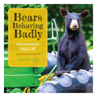 Bears Behaving Badly, John McDonald