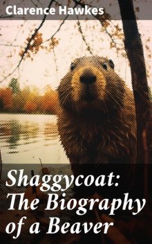 Shaggycoat, Clarence Hawkes
