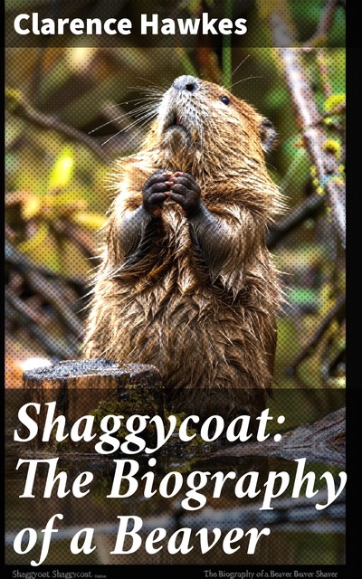 Shaggycoat, Clarence Hawkes