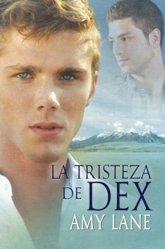 La tristeza de Dex, Amy Lane