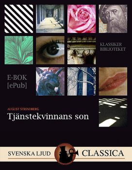 Tjänstekvinnans son, August Strindberg