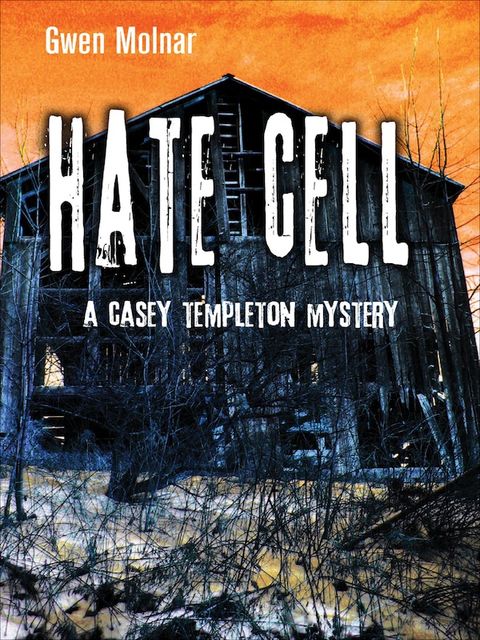 Casey Templeton Mysteries 2-Book Bundle, Gwen Molnar