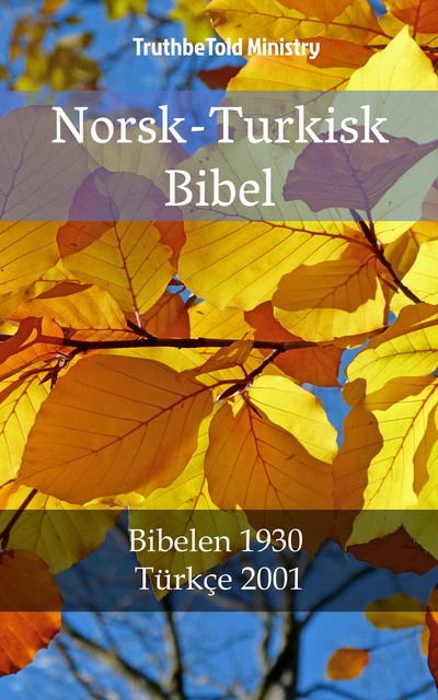 Norsk-Turkisk Bibel, Joern Andre Halseth