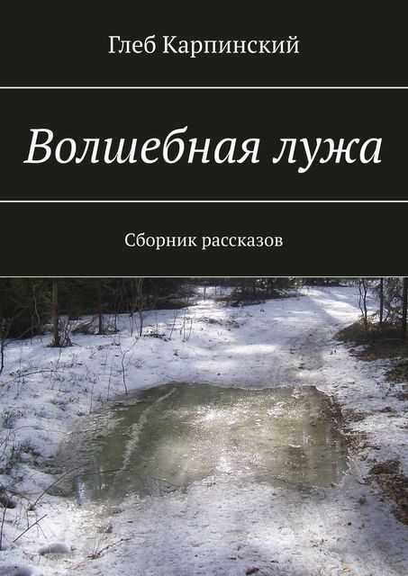 Волшебная лужа, Глеб Карпинский