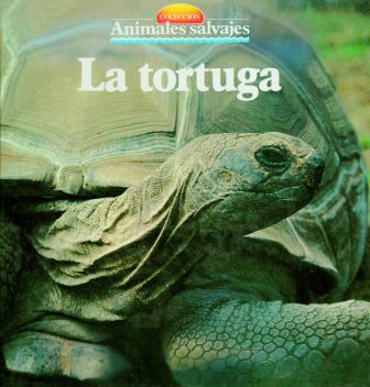 La tortuga, Autor