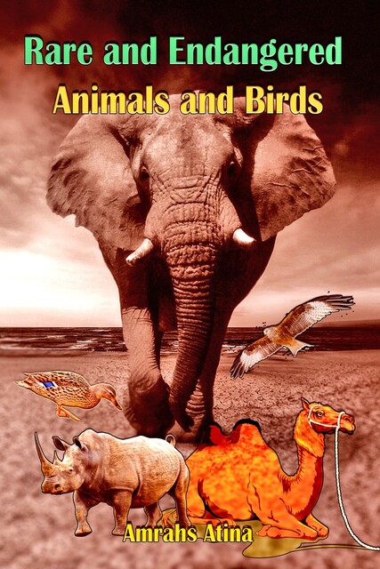 Rare and Endangered Animals and Birds, Atina Amrahs