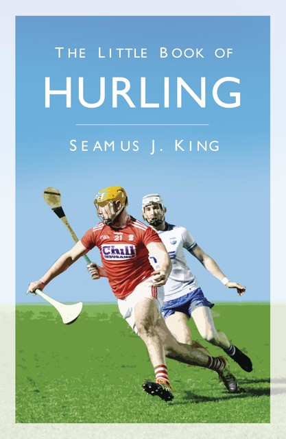 The Little Book of Hurling, Seamus J. King