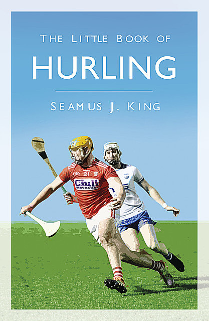 The Little Book of Hurling, Seamus J. King