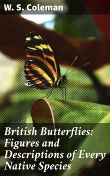 British Butterflies: Figures and Descriptions of Every Native Species, W.S.Coleman