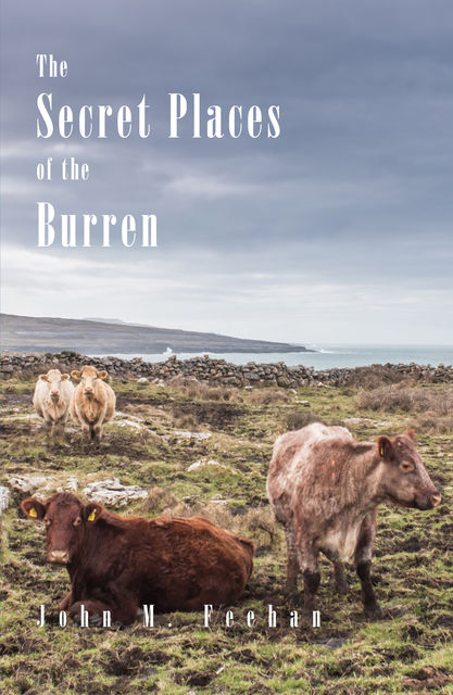 The Secret Places Of The Burren, John M. Feehan