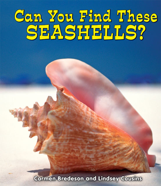 Can You Find These Seashells?, Carmen Bredeson, Lindsey Cousins