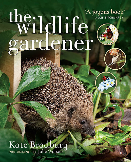 The Wildlife Gardener, Kate Bradbury