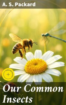 Our Common Insects, A.S.Packard