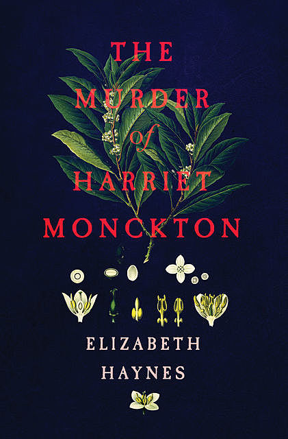 The Murder of Harriet Monckton, Elizabeth Haynes