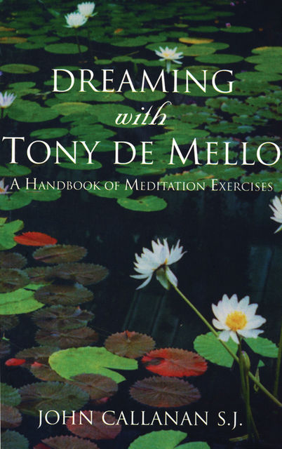 Dreaming With Tony De Mello, John Callanan