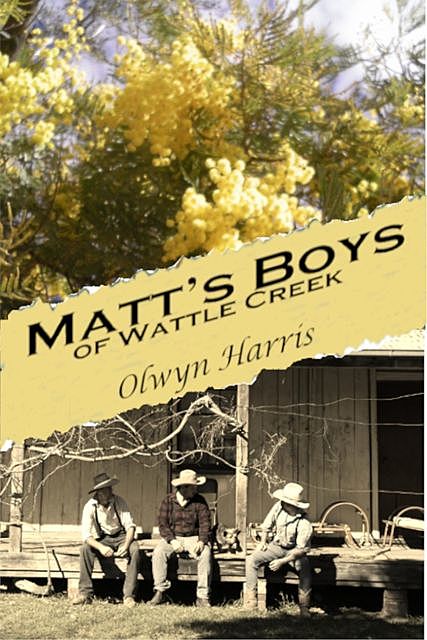 Matt's Boys of Wattle Creek, Olwyn Harris