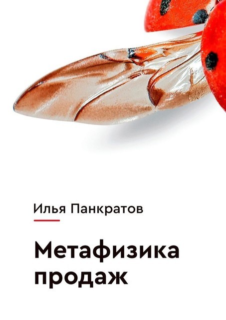 Метафизика продаж, Илья Панкратов
