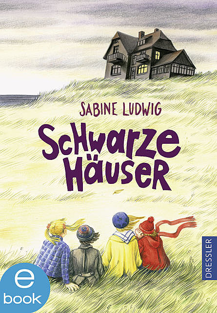 Schwarze Häuser, Sabine Ludwig