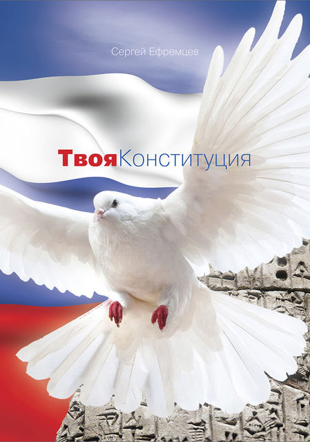 Твоя Конституция, Сергей Ефремцев