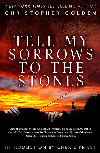 Tell My Sorrows To The Stones, Christopher Golden