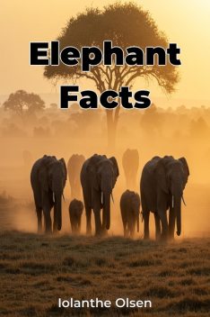 Elephant Facts, Iolanthe Olsen