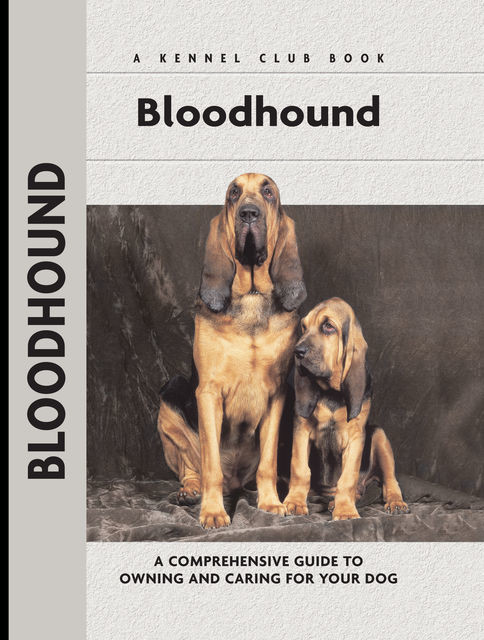 Bloodhound, Nona Kilgore Bauer