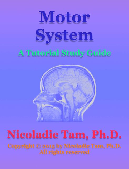 Motor System: A Tutorial Study Guide, Nicoladie Tam