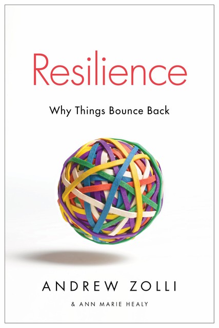 Resilience, Ann Marie Healy, Andrew Zolli