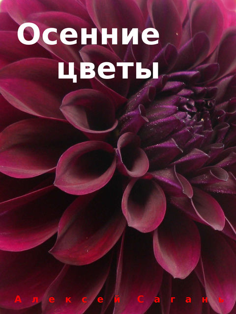 Осенние цветы, Алексей Сагань