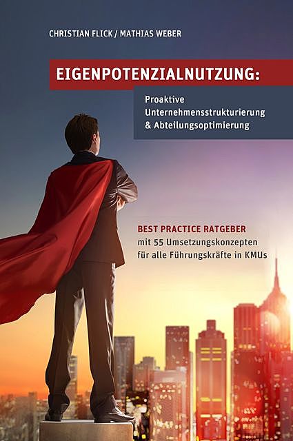 Eigenpotenzialnutzung: Proaktive Unternehmensstrukturierung & Abteilungsoptimierung, Mathias Weber, Christian Flick