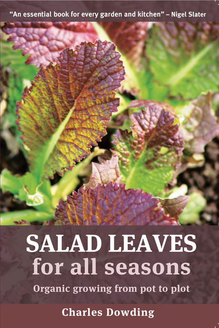 Salad Leaves for All Seasons, Charles Dowding