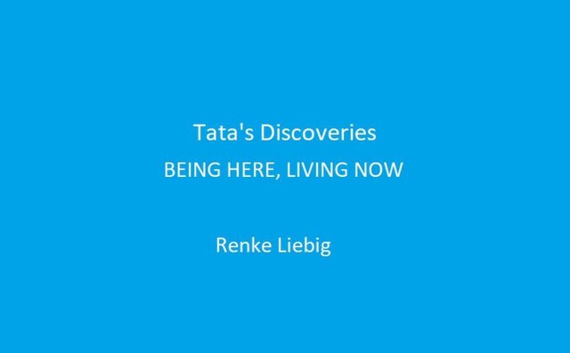 Tata's Discoveries, Renke Liebig
