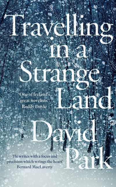 Travelling in a Strange Land, David Park