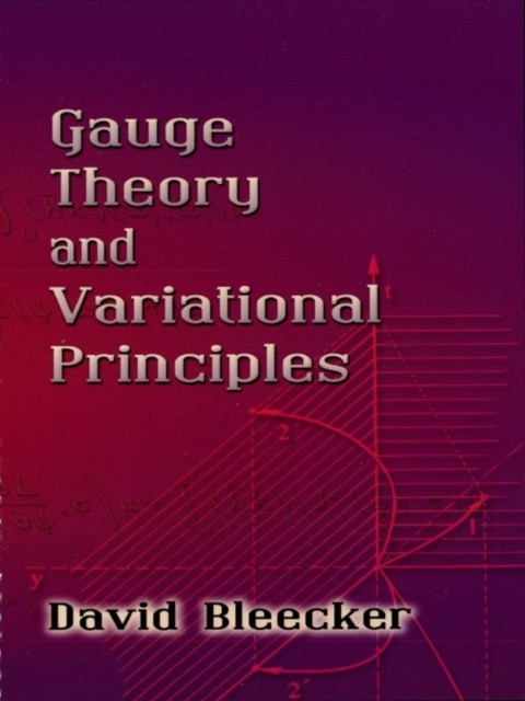 Gauge Theory and Variational Principles, David Bleecker