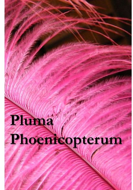Pluma Phoenicopterum, Kirk Munroe