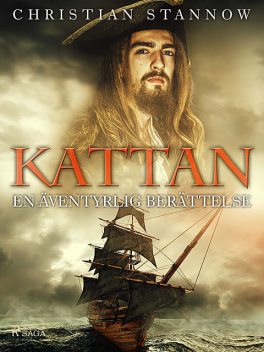 Kattan · en äventyrlig berättelse, Christian Stannow