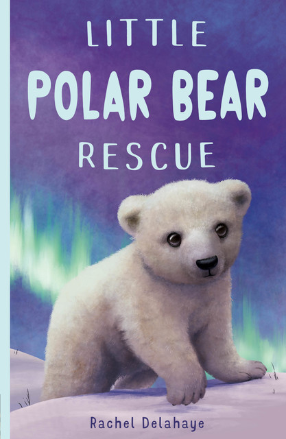 Little Polar Bear Rescue, Rachel Delahaye
