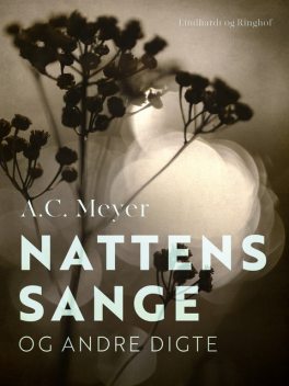 Nattens sange og andre digte, A.C. Meyer