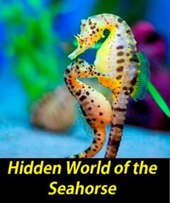 Hidden World of the Seahorse, Sea Life Animals Series