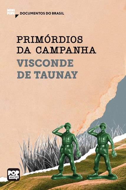 Primórdios da campanha, Visconde de Taunay