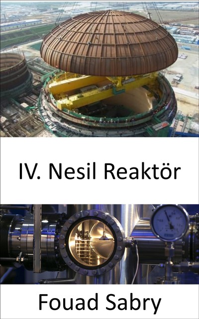 IV. Nesil Reaktör, Fouad Sabry