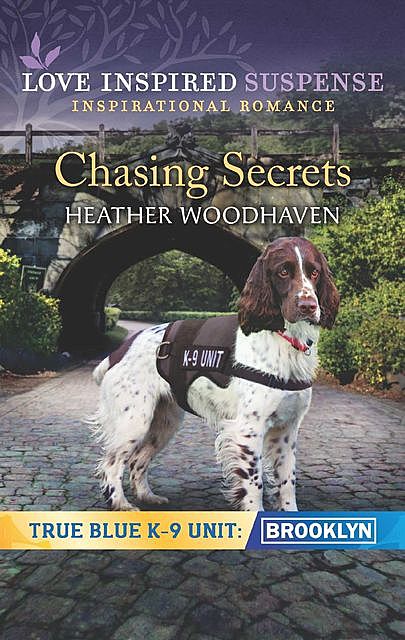 Chasing Secrets, Heather Woodhaven