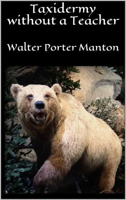 Taxidermy without a Teacher, Walter Porter Manton