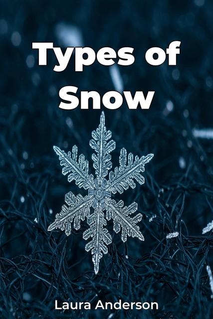 Types of Snow, Laura Anderson